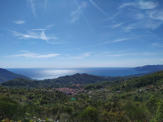 Foto - Terreno In Vendita