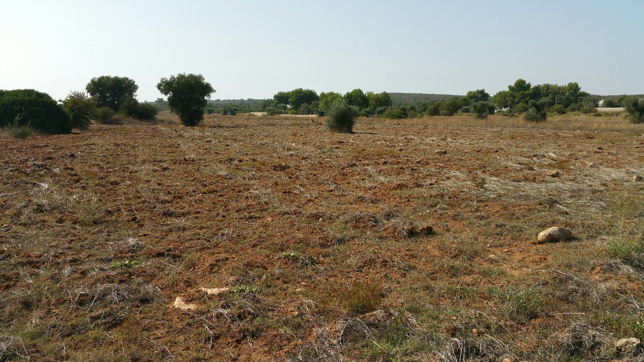 Foto - Terreno In Vendita